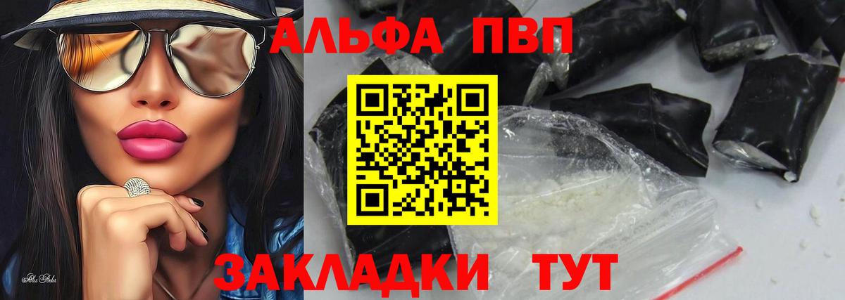 Alfa_PVP СК КРИС Сегежа