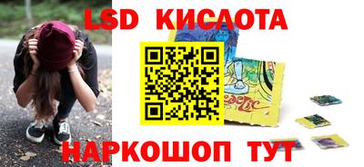 крисы Партизанск