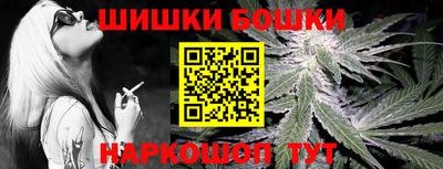 крисы Партизанск